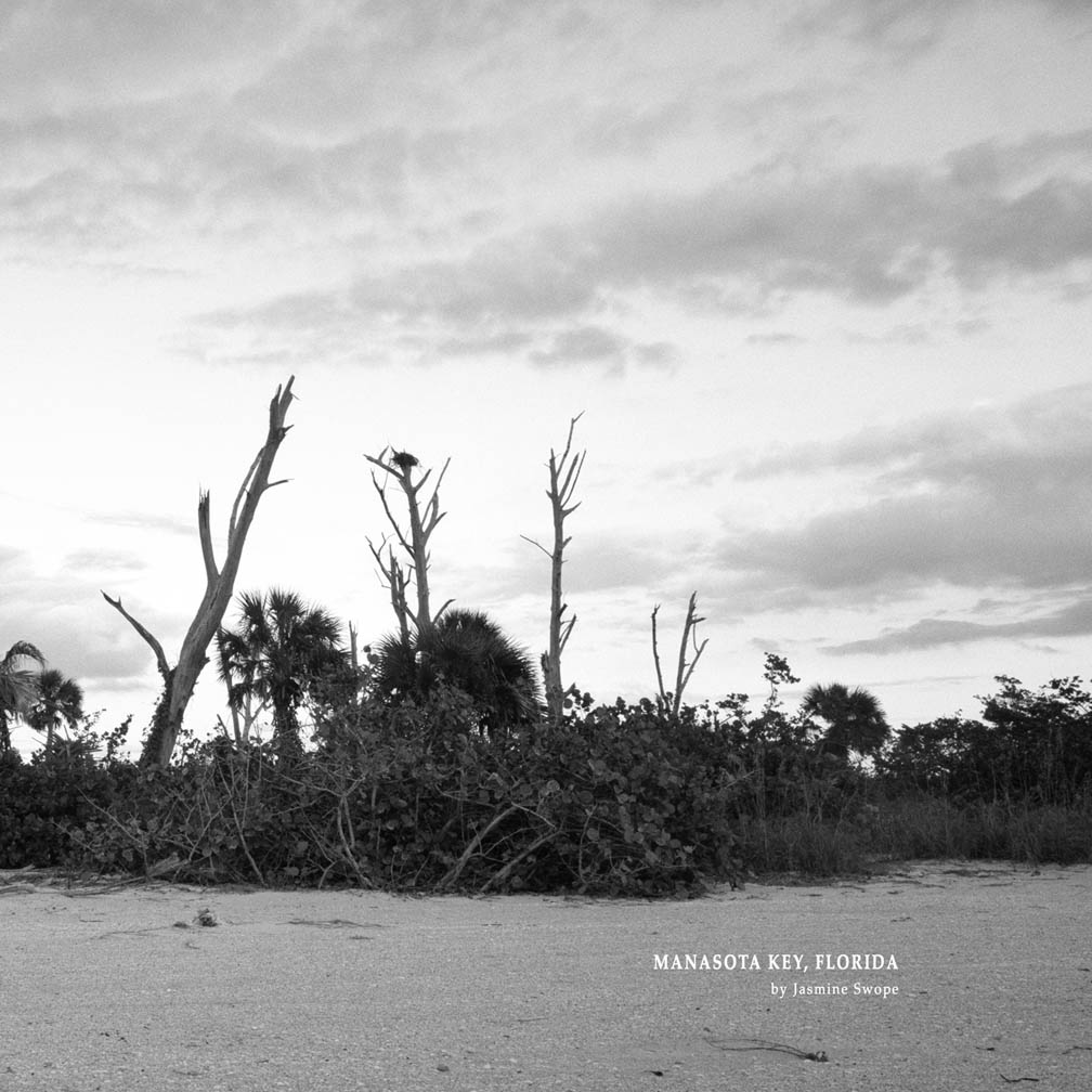 1 Manasota Key